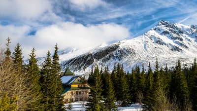 白天，绿色松树和白雪覆盖的山旁的棕色木屋